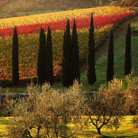 Tuscany Every time I come back in Chianti or Val d'Orcia, I always find an unforeseen location that captures me with its…