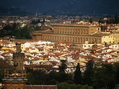 Pitti_001
