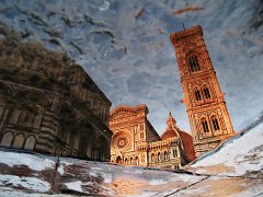 Reflections_007