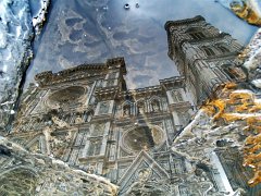 Reflections_010