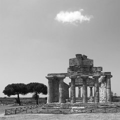 Paestum_005