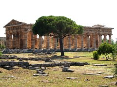 Paestum_015