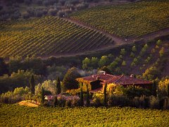 Chianti_007