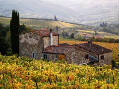 Chianti_008