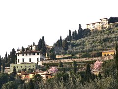 Fiesole_003 DCF 1.0
