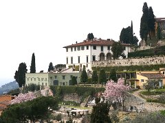 Fiesole_004 DCF 1.0
