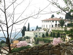 Fiesole_009 DCF 1.0