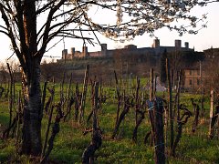 Monteriggioni_007