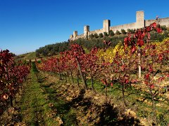 Monteriggioni_006