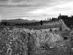 Tuscany_BW_005 DCF 1.0