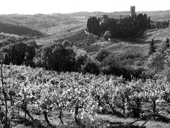 Tuscany_BW_006 DCF 1.0