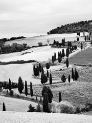 Tuscany_BW_010