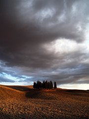 Orcia_002