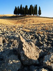 Orcia_004
