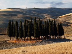 Orcia_005