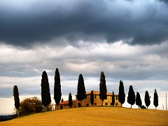 Orcia_009