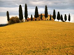 Orcia_010